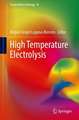 High Temperature Electrolysis