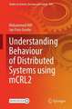 Understanding Behaviour of Distributed Systems Using mCRL2