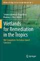 Wetlands for Remediation in the Tropics: Wet Ecosystems for Nature-based Solutions