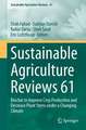 Sustainable Agriculture Reviews 61: Biochar to Improve Crop Production and Decrease Plant Stress under a Changing Climate