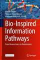 Bio-Inspired Information Pathways: From Neuroscience to Neurotronics