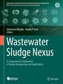 Wastewater Sludge Nexus: A Comprehensive Exploration of Sludge Management and Applications