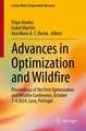 Advances in Optimization and Wildfire