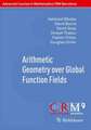 Arithmetic Geometry over Global Function Fields