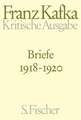 Briefe 4. 1918 - 1920