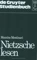 Nietzsche lesen