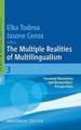 The Multiple Realities of Multilingualism: Personal Narratives and Researchers’ Perspectives