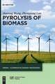 Pyrolysis of Biomass