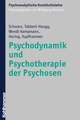 Psychodynamik Und Psychotherapie Der Psychosen: Korperliche Aktivitat Und Leistungsfahigkeit Im Alter