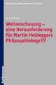 Weltanschauung - Eine Herausforderung Fur Martin Heideggers Philosophiebegriff: Ansatze Und Kriterien Einer Praktisch-Theologischen Kampagnentheorie