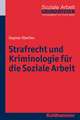 Strafrecht Und Kriminologie Fur Die Soziale Arbeit: Geschichte Und Kultur