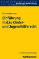 Einfuhrung in Das Kinder- Und Jugendhilferecht: Straftaten Gegen Die Person Und Die Allgemeinheit, Eigentums- Und Vermogensdelikte