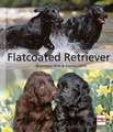 Flatcoated Retriever