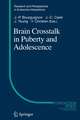 Brain Crosstalk in Puberty and Adolescence