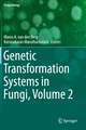 Genetic Transformation Systems in Fungi, Volume 2