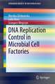 DNA Replication Control in Microbial Cell Factories