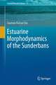 Estuarine Morphodynamics of the Sunderbans