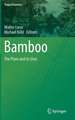 Bamboo: The Plant and its Uses