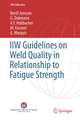 IIW Guidelines on Weld Quality in Relationship to Fatigue Strength