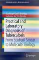 Practical and Laboratory Diagnosis of Tuberculosis: From Sputum Smear to Molecular Biology