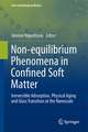 Non-equilibrium Phenomena in Confined Soft Matter: Irreversible Adsorption, Physical Aging and Glass Transition at the Nanoscale