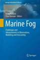 Marine Fog: Challenges and Advancements in Observations, Modeling, and Forecasting