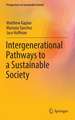 Intergenerational Pathways to a Sustainable Society