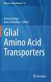 Glial Amino Acid Transporters