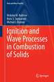 Ignition and Wave Processes in Combustion of Solids