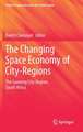 The Changing Space Economy of City-Regions: The Gauteng City-Region, South Africa