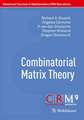 Combinatorial Matrix Theory