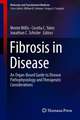 Fibrosis in Disease: An Organ-Based Guide to Disease Pathophysiology and Therapeutic Considerations