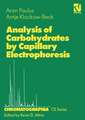 Analysis of Carbohydrates by Capillary Electrophoresis