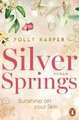 Silver Springs. Sunshine on Your Skin