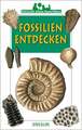 Ensslins kleine Naturführer. Fossilien entdecken