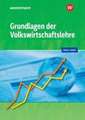 Grundlagen der Volkswirtschaftslehre. Schulbuch