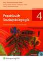 Praxisbuch Sozialpädagogik 4