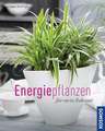 Energiepflanzen für mein Zuhause