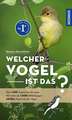 Welcher Vogel ist das?