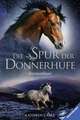 Die Spur der Donnerhufe, Band 2: Sternenfeuer