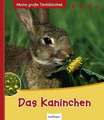 Das Kaninchen