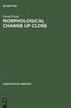 Morphological Change Up Close: Two and a Half Centuries of Verbal Inflection in Nuremberg