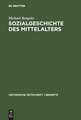 Sozialgeschichte des Mittelalters: Eine Forschungsbilanz nach der deutschen Einheit