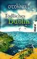 Tödliches Dublin