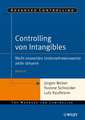 Controlling von Intangibles: Nicht–monet&auml;re Unternehmenswerte aktiv steuern