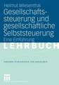 Gesellschaftssteuerung und gesellschaftliche Selbststeuerung: Eine Einführung