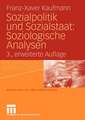 Sozialpolitik und Sozialstaat: Soziologische Analysen