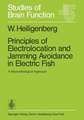 Principles of Electrolocation and Jamming Avoidance in Electric Fish: A Neuroethological Approach