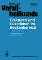 Frakturen und Luxationen im Beckenbereich: 12. Reisensburger Workshop zu Ehren von A. N. Witt 15.–17. Februar 1979