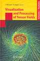 Visualization and Processing of Tensor Fields